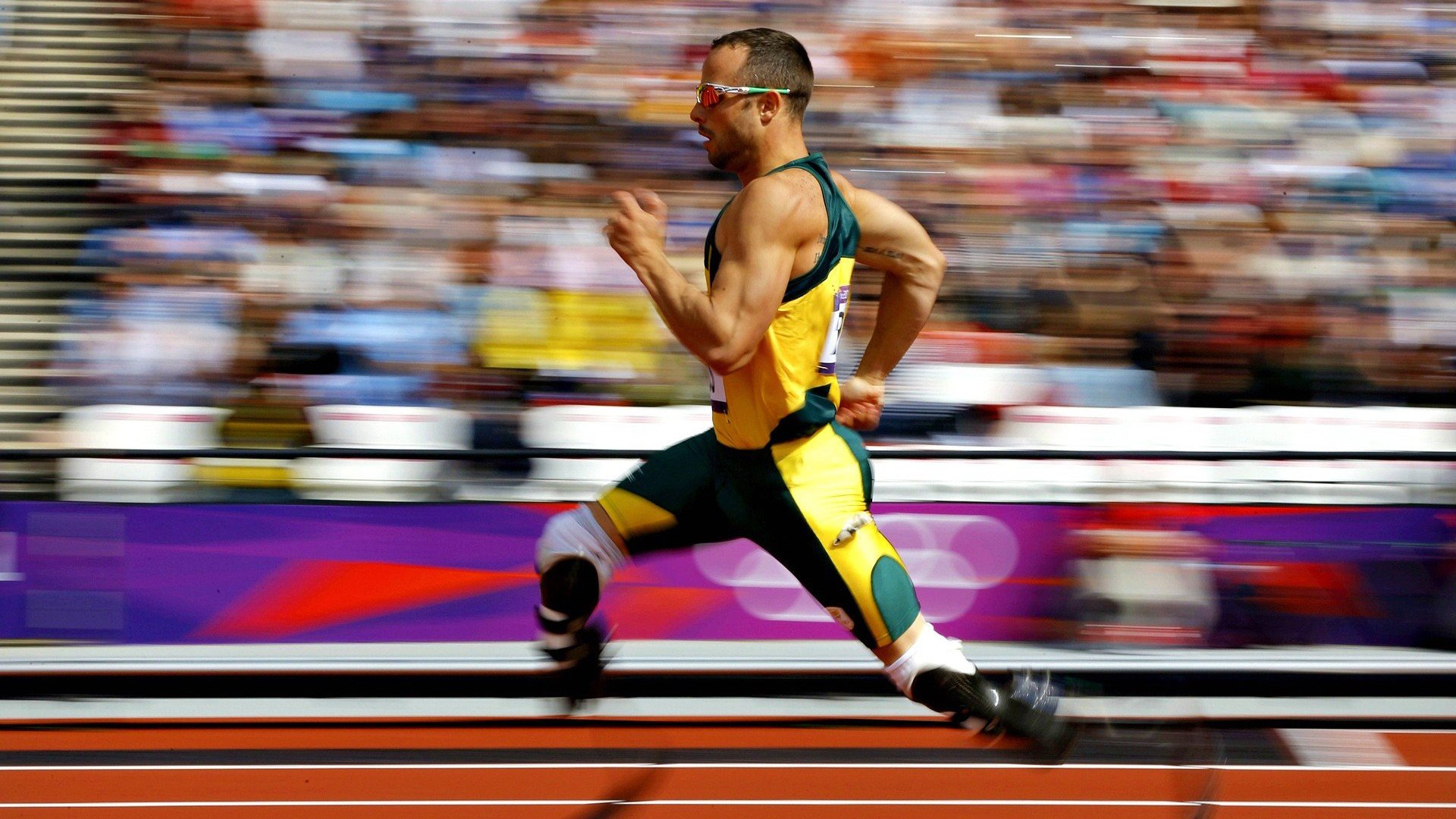 海地传统体育活动丰富多彩:探索加勒比宝藏中的运动魅力