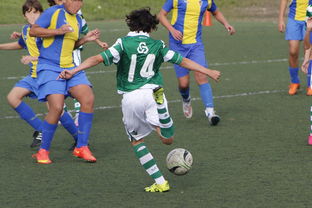 星空综合体育全站app-史诗级逆转战:从落后20分到胜利!,逆转结局是哪一套史诗